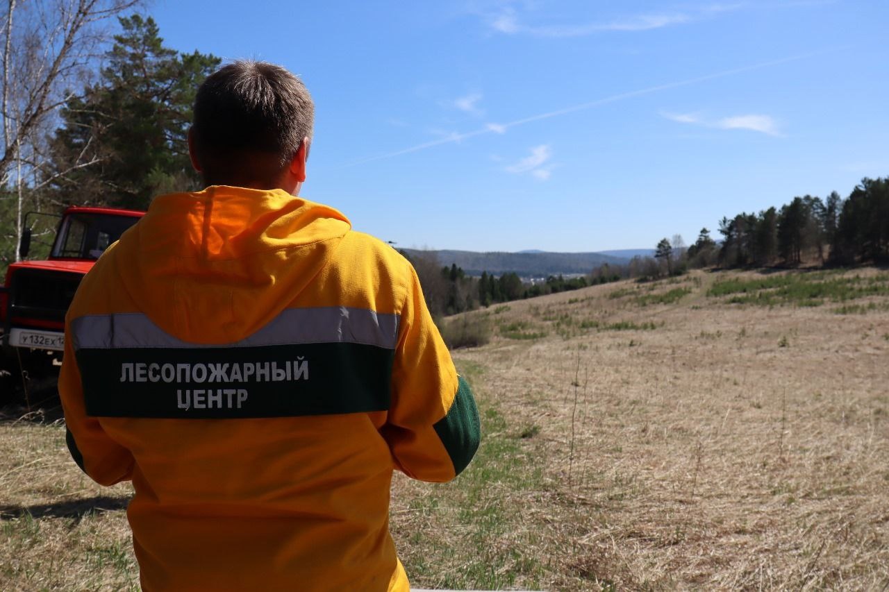 В Красноярском крае объявлен режим чрезвычайной ситуации в лесах.